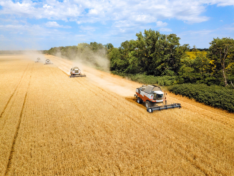 Челябинские ученые рассказали, как зерновые адаптируются к глобальному потеплению