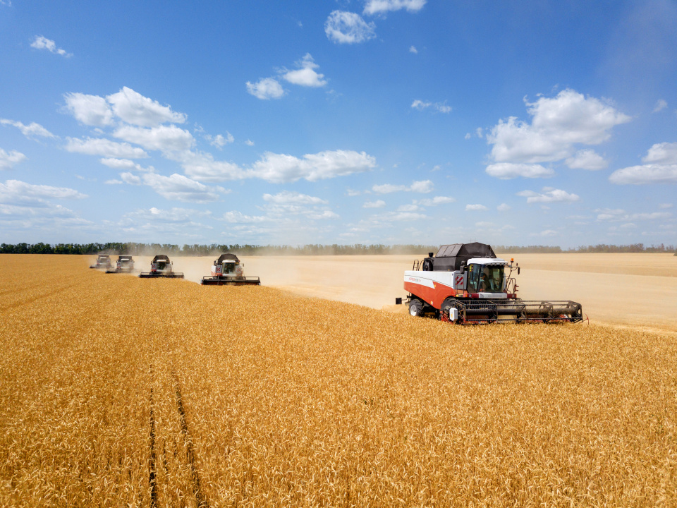 Успели до заморозков: южноуральские аграрии снимают последний урожай