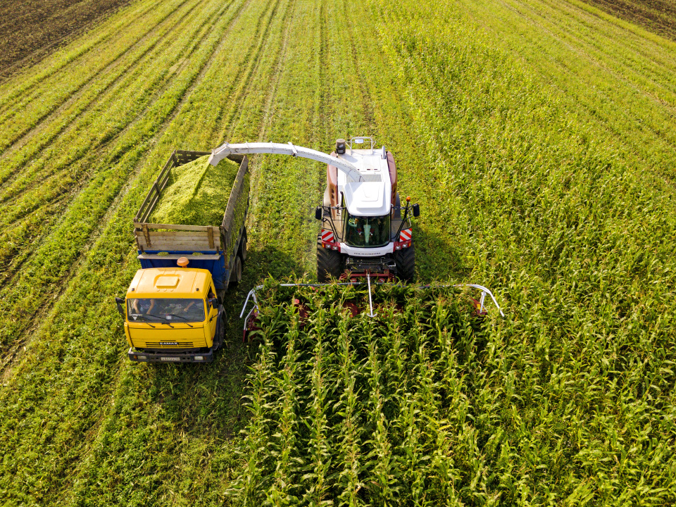 Российское село становится инновационной площадкой