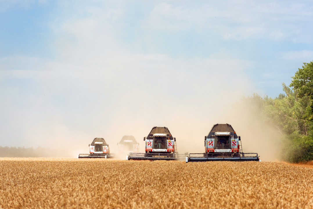 Минсельхоз России: господдержка АПК в 2025 году составила 665 млрд рублей